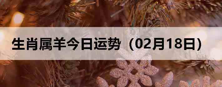 ��Ф����������ƣ�02��18�գ�