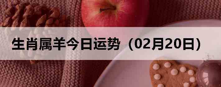 ��Ф����������ƣ�02��20�գ�