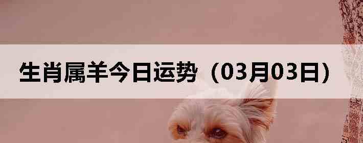 ��Ф����������ƣ�03��03�գ�