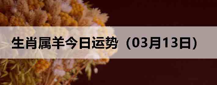 ��Ф����������ƣ�03��13�գ�