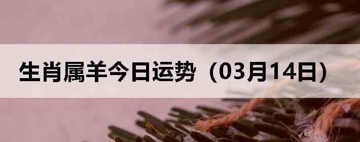 ��Ф����������ƣ�03��14�գ�