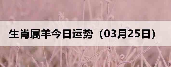 ��Ф����������ƣ�03��25�գ�