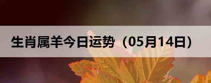 ��Ф����������ƣ�05��14�գ�