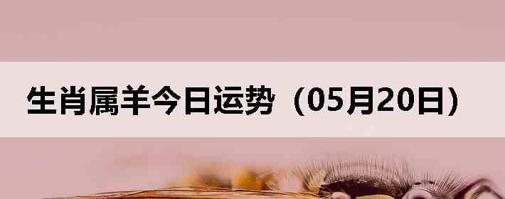 ��Ф����������ƣ�05��20�գ�