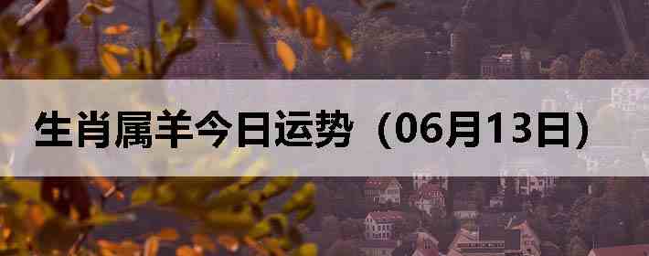 ��Ф����������ƣ�06��13�գ�