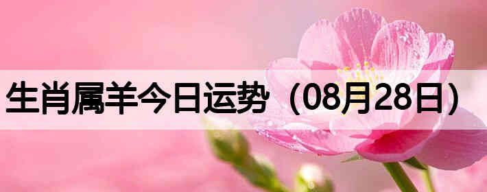 ��Ф����������ƣ�08��28�գ�