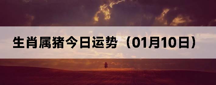 Фƣ0110գ