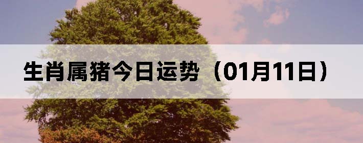 Фƣ0111գ
