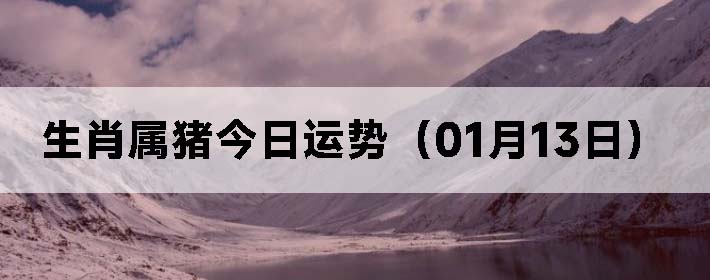 Фƣ0113գ