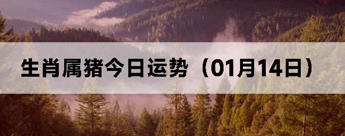 Фƣ0114գ