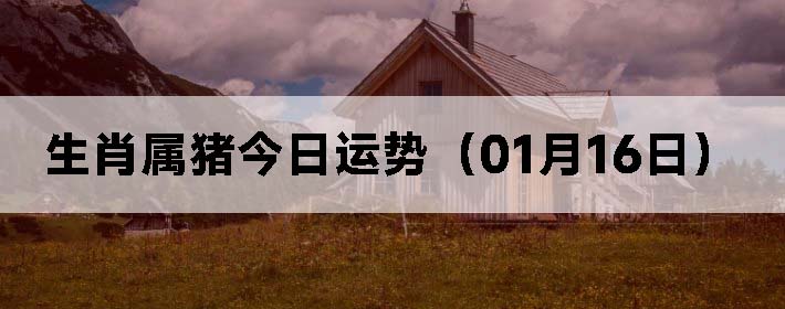 Фƣ0116գ