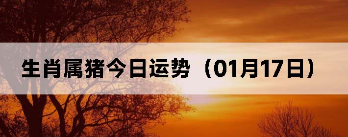 Фƣ0117գ
