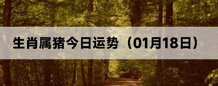 Фƣ0118գ