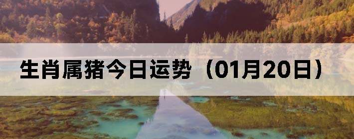 Фƣ0120գ