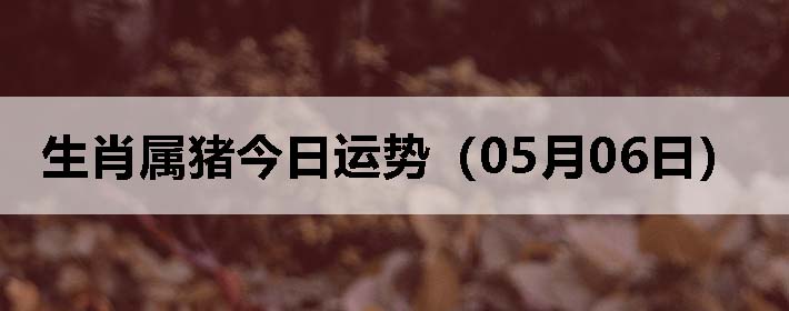 Фƣ0506գ