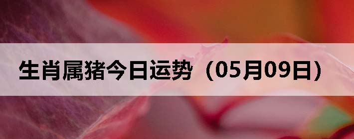 Фƣ0509գ