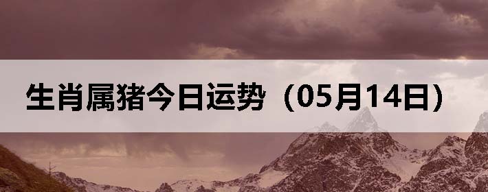 Фƣ0514գ