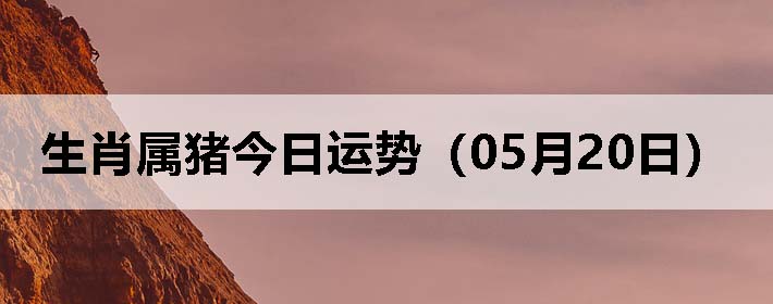 Фƣ0520գ