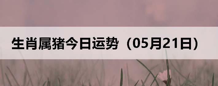 Фƣ0521գ