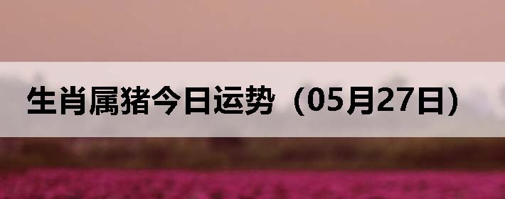 Фƣ0527գ