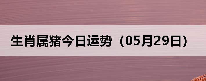 Фƣ0529գ