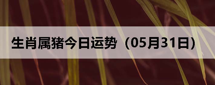 Фƣ0531գ