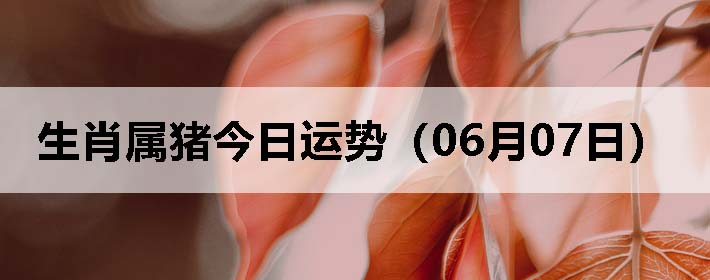 Фƣ0607գ
