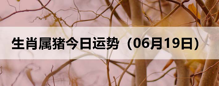 Фƣ0619գ