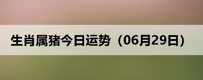 Фƣ0629գ