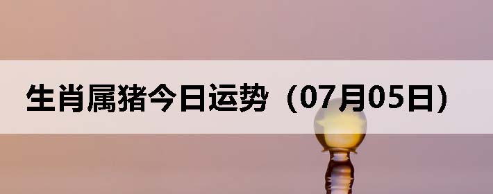Фƣ0705գ