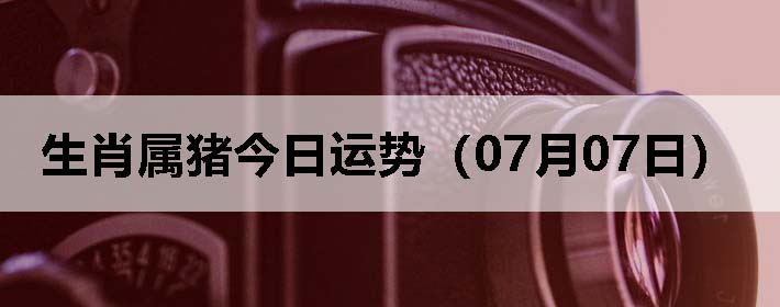 Фƣ0707գ