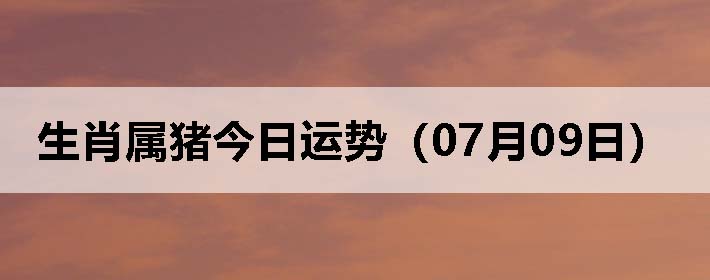 Фƣ0709գ