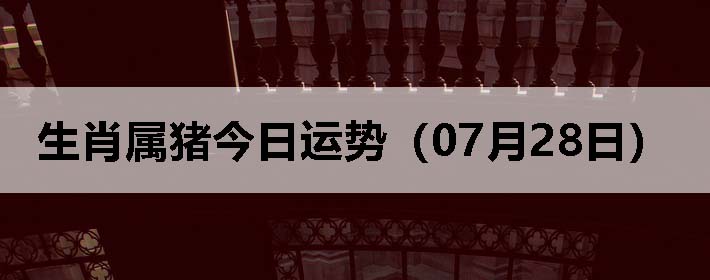 Фƣ0728գ