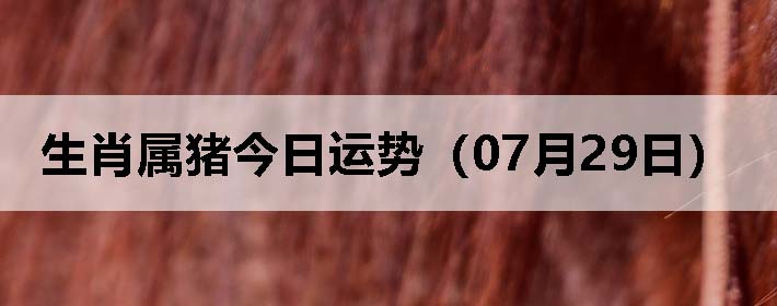Фƣ0729գ