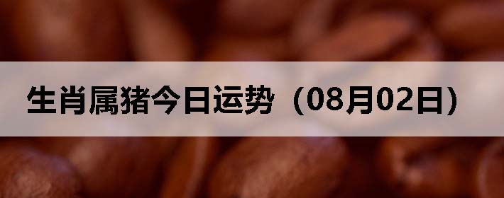Фƣ0802գ