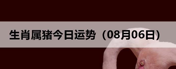 Фƣ0806գ