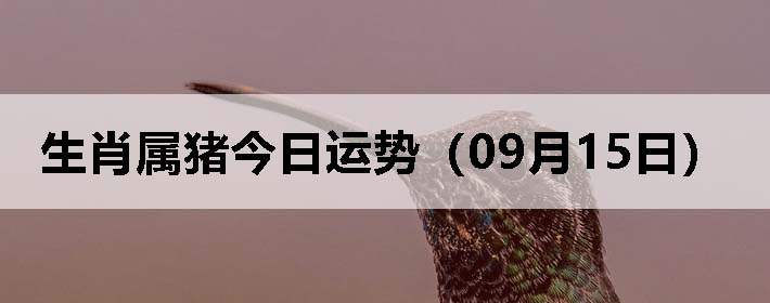 Фƣ0915գ