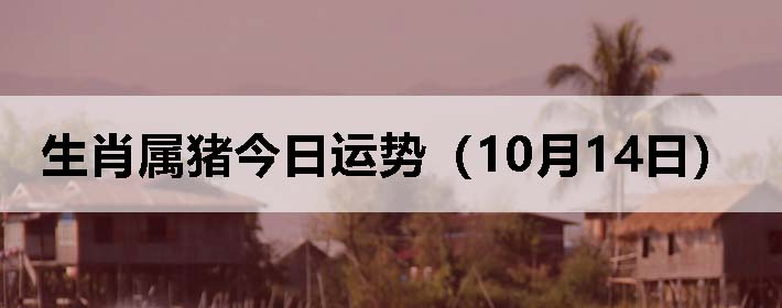 Фƣ1014գ