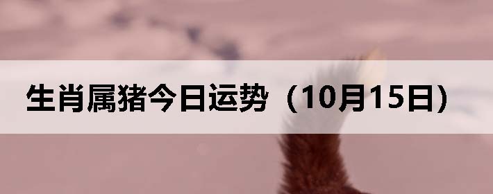 Фƣ1015գ