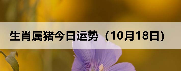 Фƣ1018գ