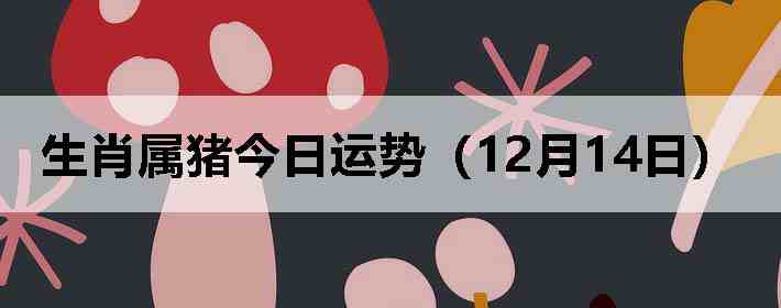 ��Ф�����������ƣ�12��14�գ�