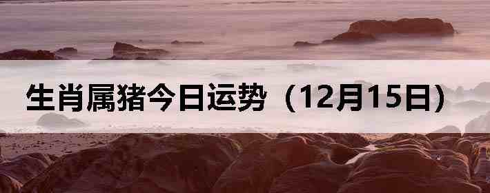 ��Ф�����������ƣ�12��15�գ�