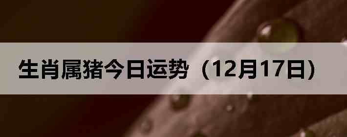 ��Ф�����������ƣ�12��17�գ�