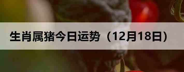 ��Ф�����������ƣ�12��18�գ�