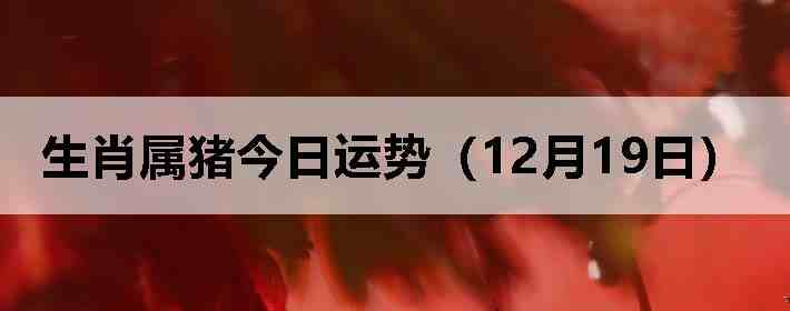 ��Ф�����������ƣ�12��19�գ�