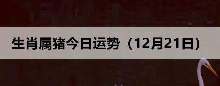 ��Ф�����������ƣ�12��21�գ�