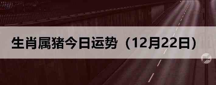 ��Ф�����������ƣ�12��22�գ�