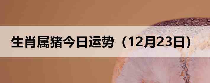 ��Ф�����������ƣ�12��23�գ�