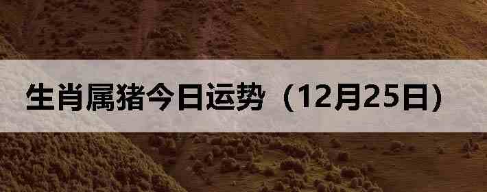 ��Ф�����������ƣ�12��25�գ�