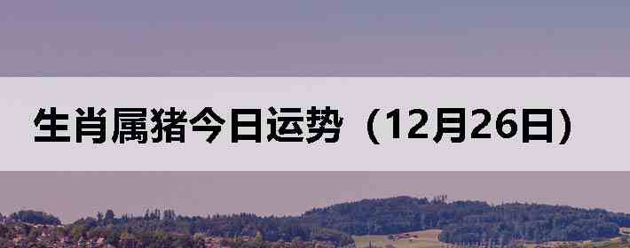 ��Ф�����������ƣ�12��26�գ�